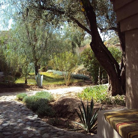 Dar Lorkam Bed & Breakfast Skoura Luaran gambar