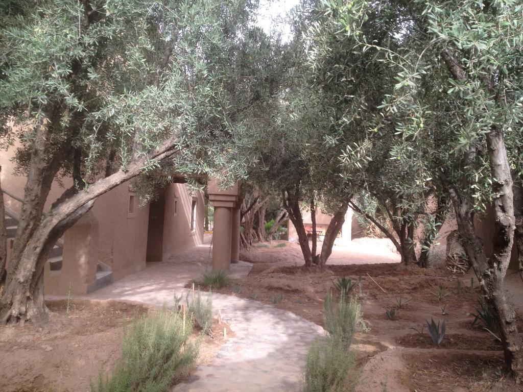 Dar Lorkam Bed & Breakfast Skoura Luaran gambar