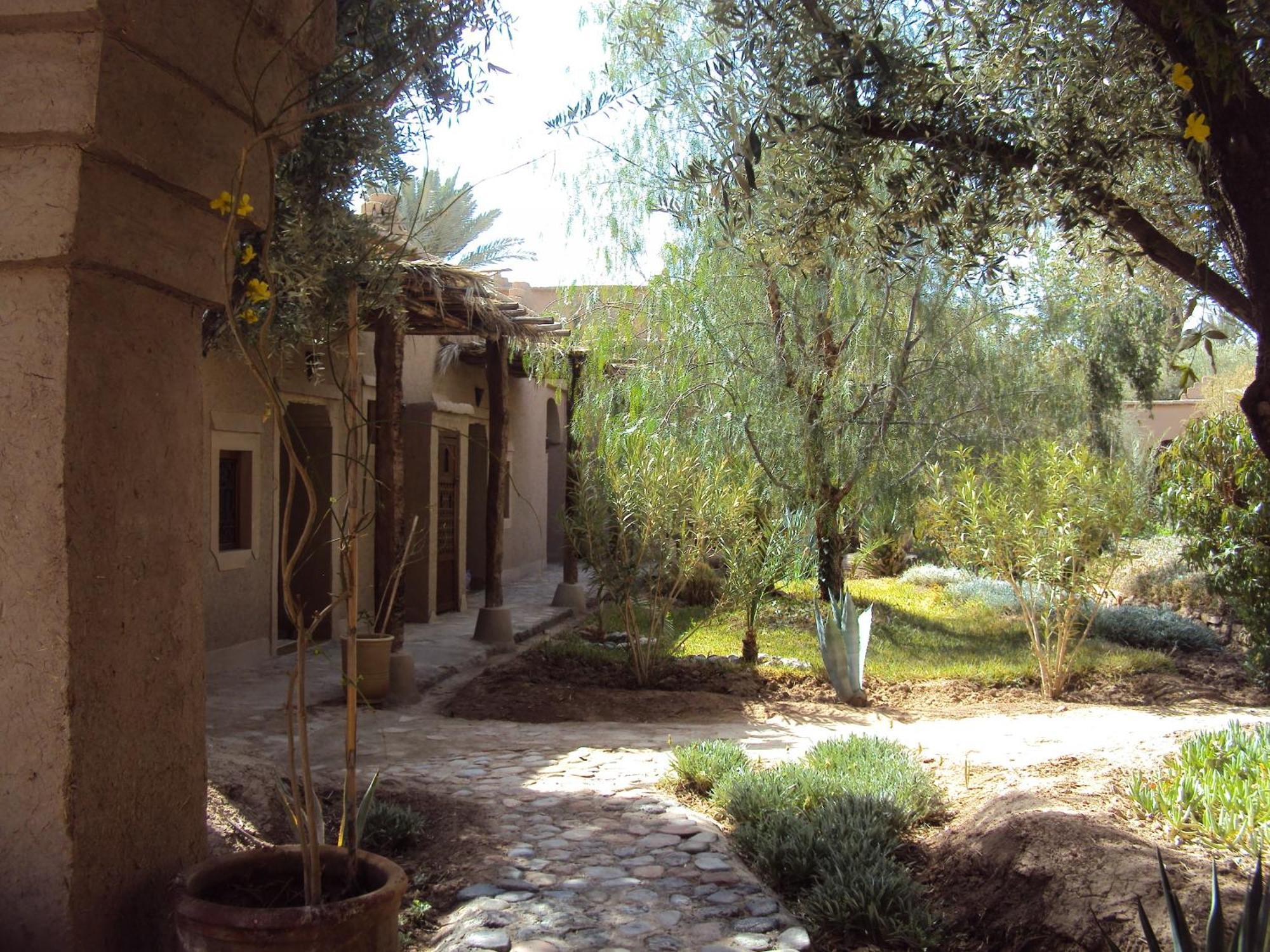 Dar Lorkam Bed & Breakfast Skoura Luaran gambar