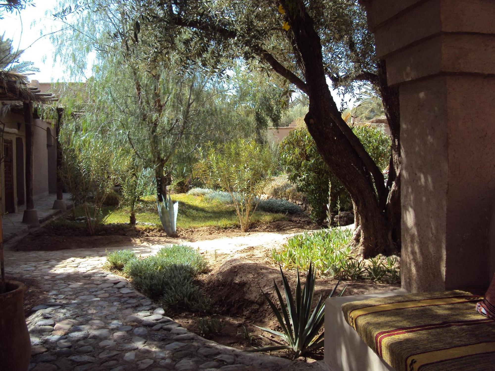 Dar Lorkam Bed & Breakfast Skoura Luaran gambar