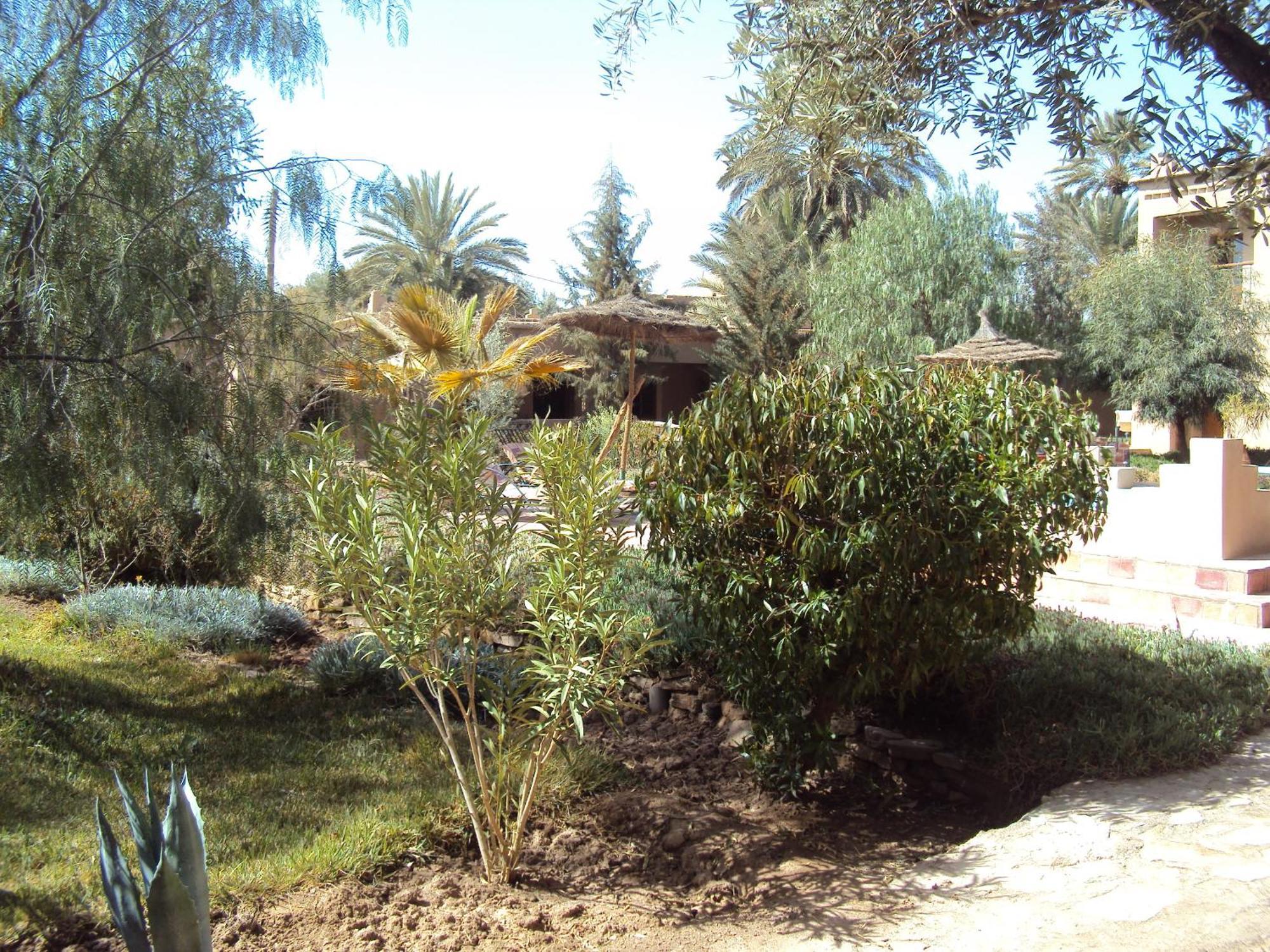 Dar Lorkam Bed & Breakfast Skoura Luaran gambar