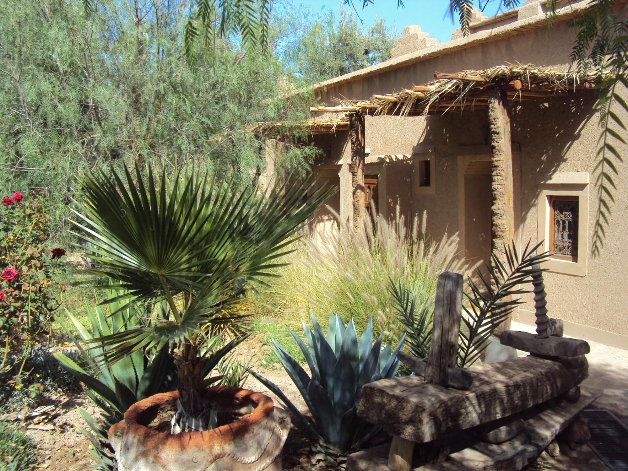 Dar Lorkam Bed & Breakfast Skoura Luaran gambar