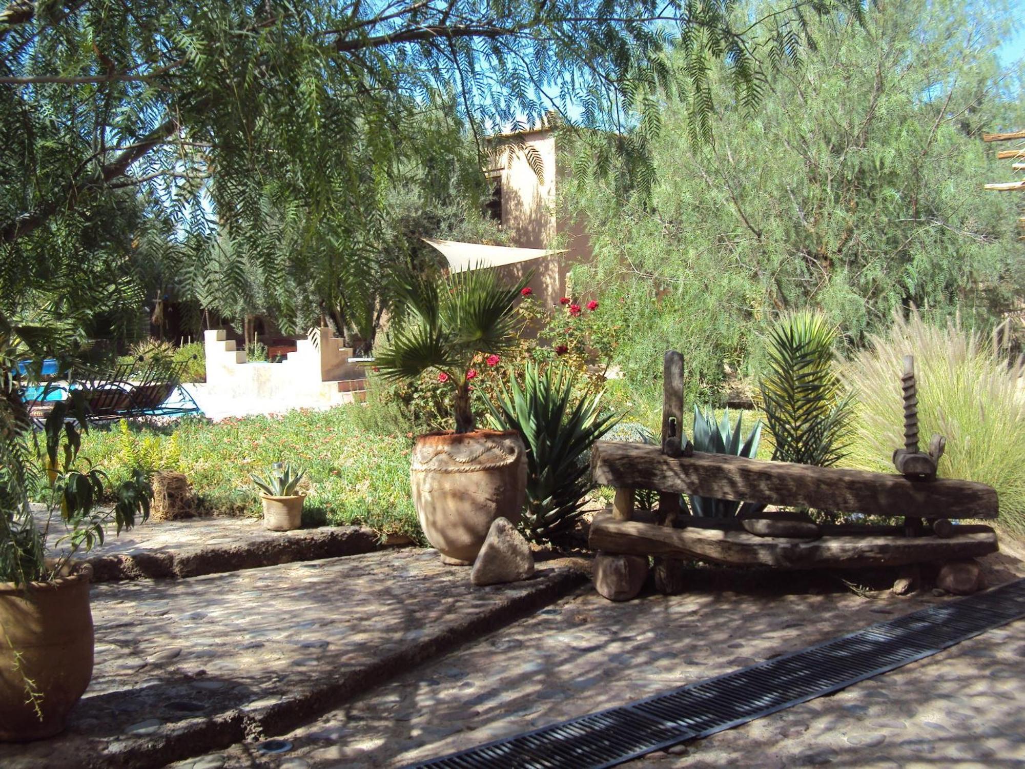 Dar Lorkam Bed & Breakfast Skoura Luaran gambar