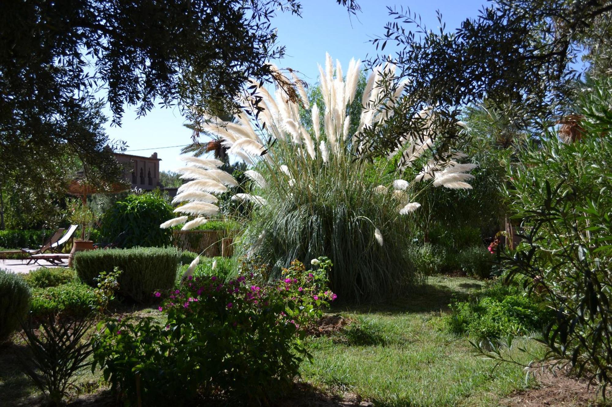 Dar Lorkam Bed & Breakfast Skoura Luaran gambar
