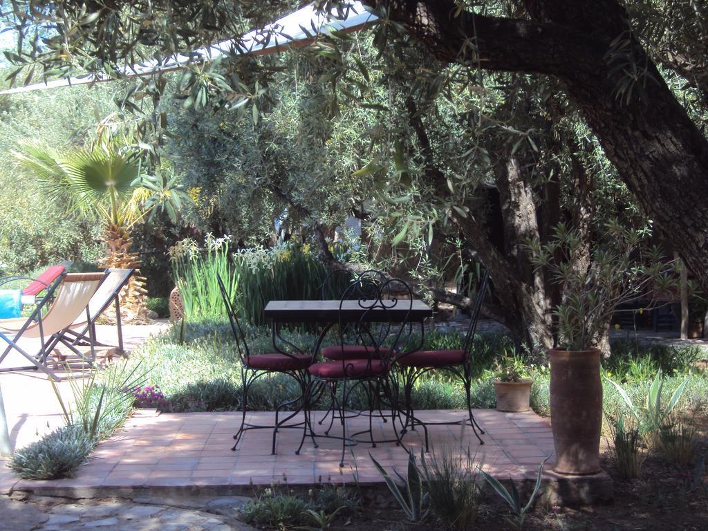 Dar Lorkam Bed & Breakfast Skoura Luaran gambar