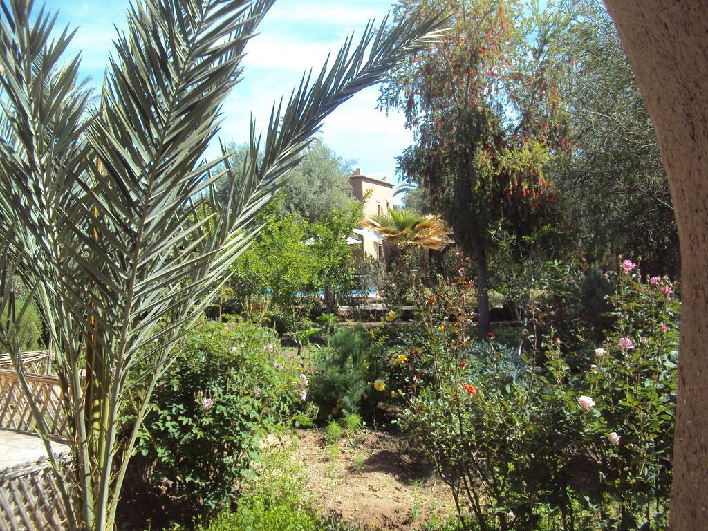 Dar Lorkam Bed & Breakfast Skoura Luaran gambar