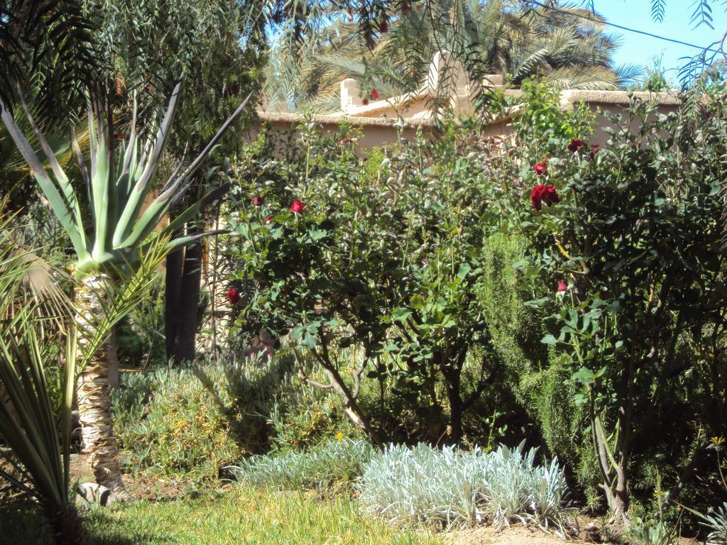 Dar Lorkam Bed & Breakfast Skoura Luaran gambar