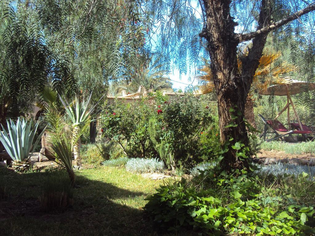 Dar Lorkam Bed & Breakfast Skoura Luaran gambar