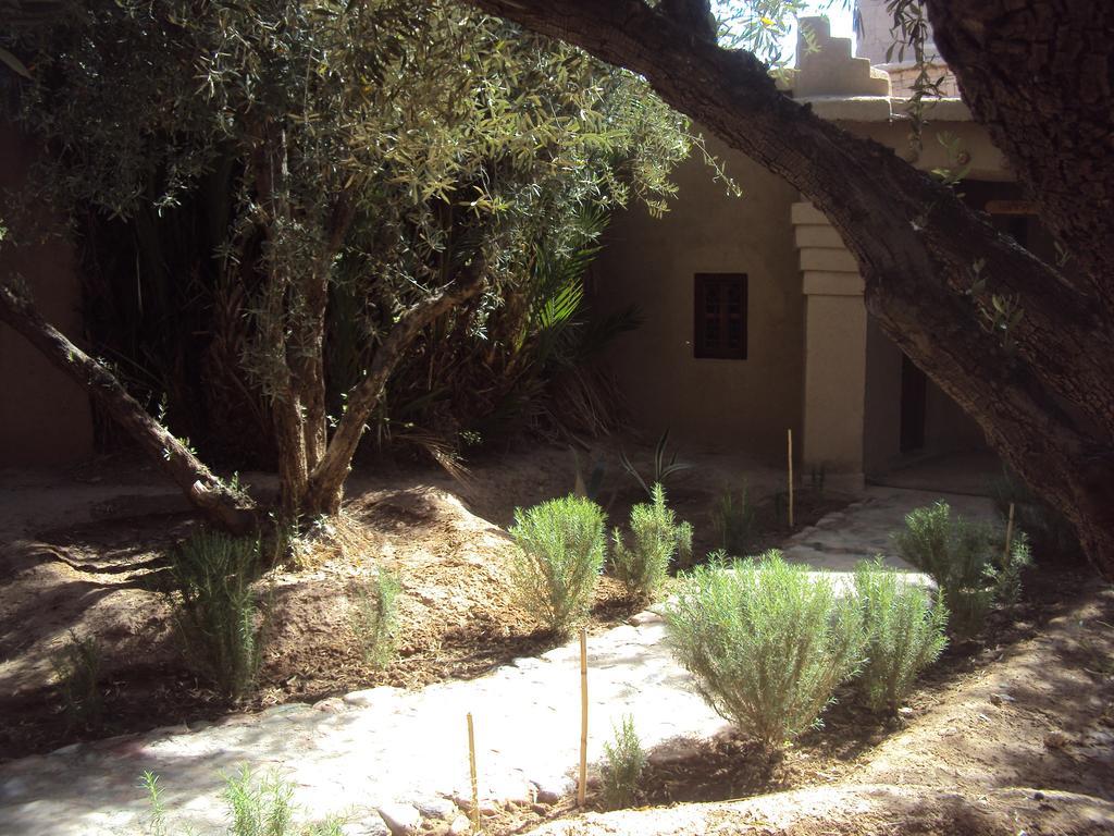 Dar Lorkam Bed & Breakfast Skoura Luaran gambar