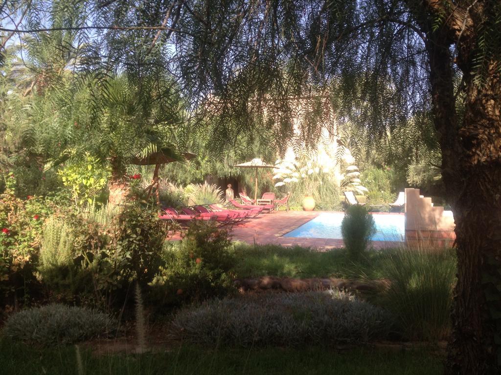 Dar Lorkam Bed & Breakfast Skoura Luaran gambar