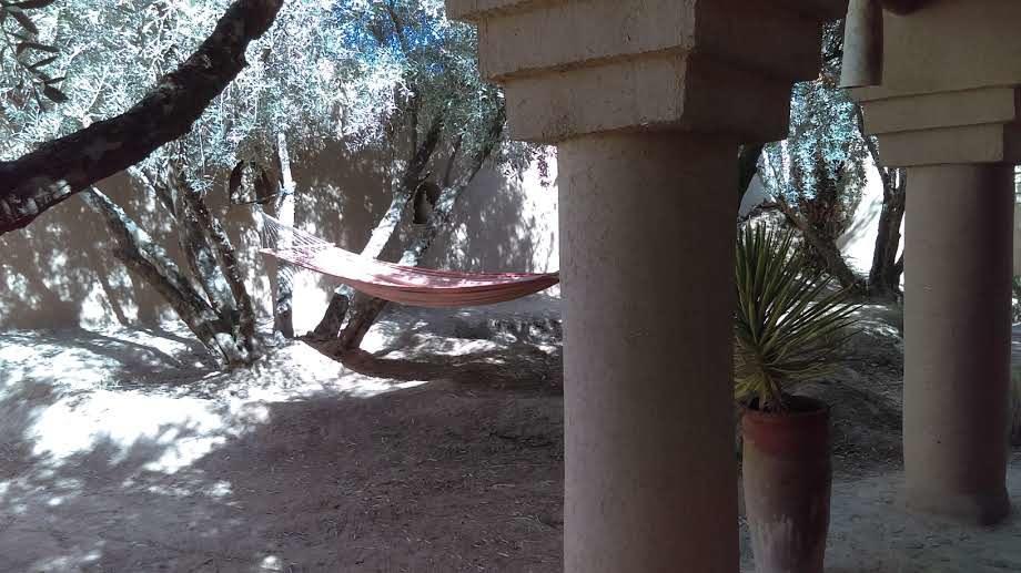 Dar Lorkam Bed & Breakfast Skoura Luaran gambar