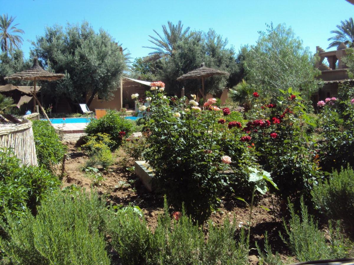 Dar Lorkam Bed & Breakfast Skoura Luaran gambar